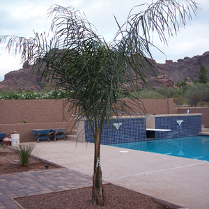 000_0145 (82k image)